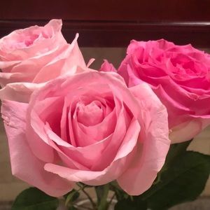 Meet your Posher, Gulshan